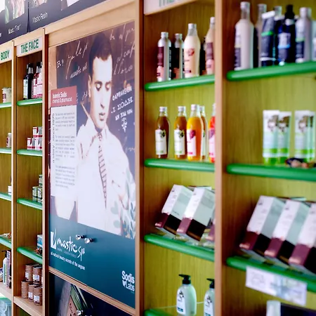 信天翁spa度假酒店 5* 赫索尼索斯