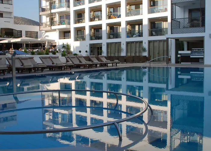 Albatros & خيرسونِسوس